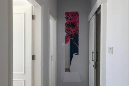 Kings Palace - Superb 2 Bed Ground Floor Apartment Paphos ภายนอก รูปภาพ
